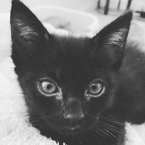 Meet your Posher, Aurora